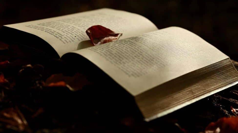 dark photo of an open book and autumn leaves