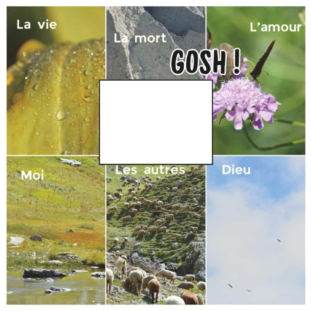 couverture livre Gosh !